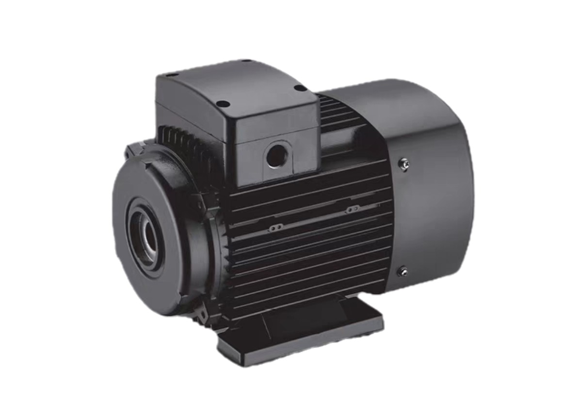 <strong> YS系列三相铝壳电动机</strong>